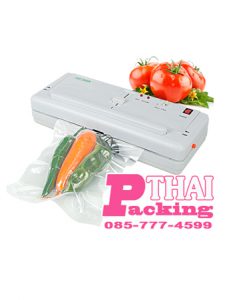 DZ300A-vacuum-machine
