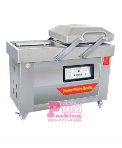 DZ-400-2SB-vacuum