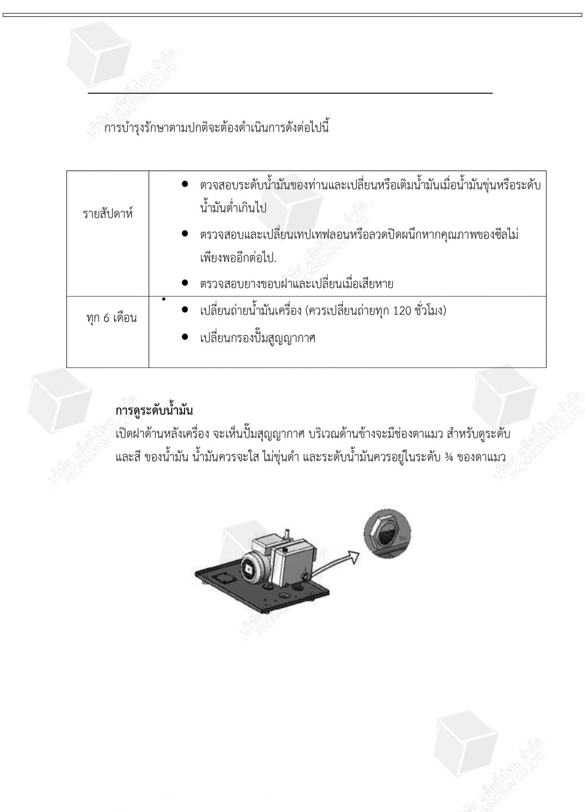 Packing Thai